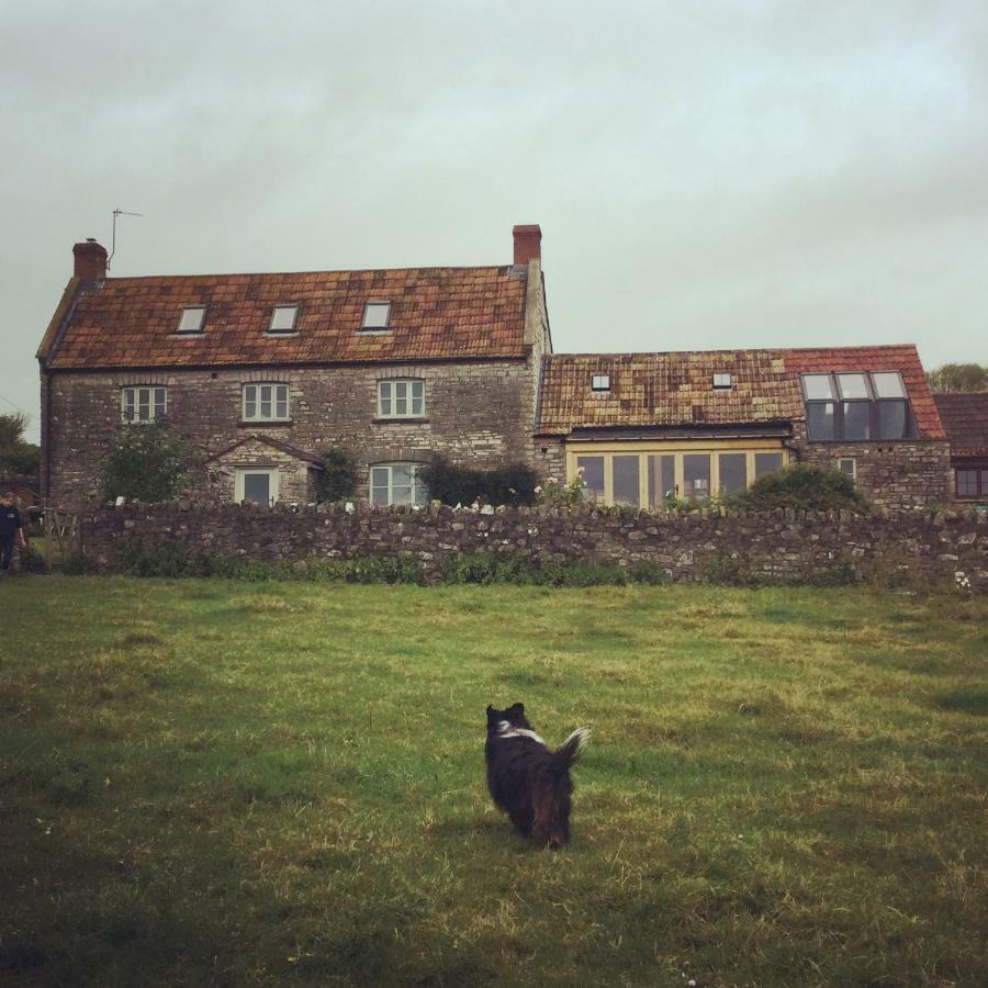 Castle Farm Bed & Breakfast Wedmore Exterior photo